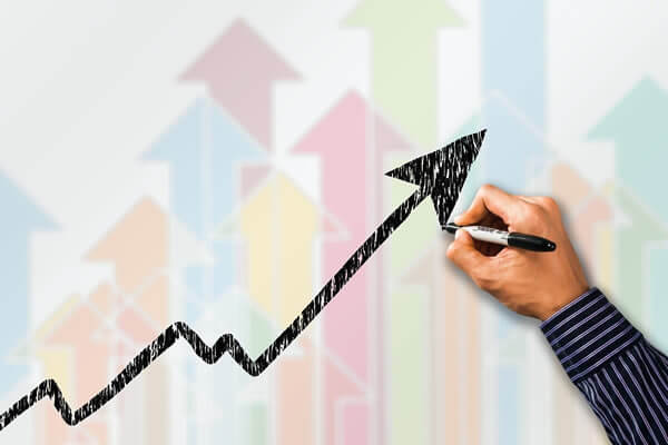 Small business profit